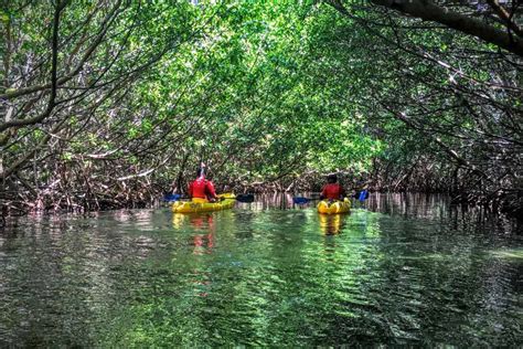 El Yunque And Bio Bay Tour Adventure In Puerto Rico