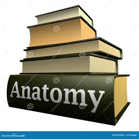 Education Books - Anatomy Royalty-Free Stock Photography | CartoonDealer.com #6579299