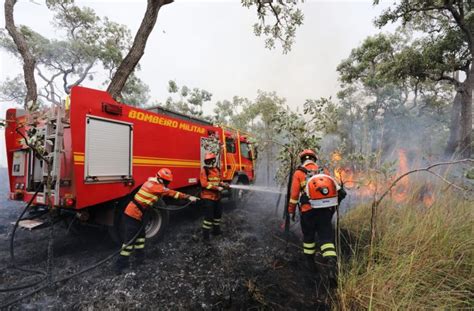 Combate Aos Incêndios Florestais No Pantanal Conta Com ‘reforço De