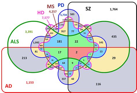 6ths Grade Heliocentric And Geocentric Venn Diagram Geocentr