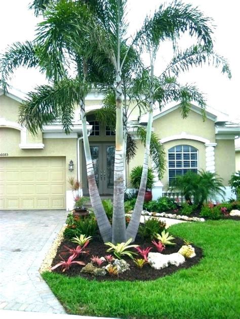 Palm Trees For The Front Yard Palm Tree Landscaping Ideas Front Yard Palm Trees Landscaping Ide