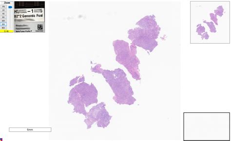 Digital Molecular Sample Bank Genomic Testing Cooperative