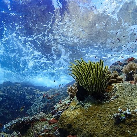 60 Pemandangan Laut Pantai ZONEGAMBARKU