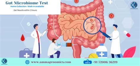 Gut Microbiome Test | Ammagenomics Lab