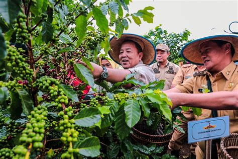 E Kpb Mudahkan Sistem Pertanian Dan Tingkatkan Perekonomian Petani Lampung