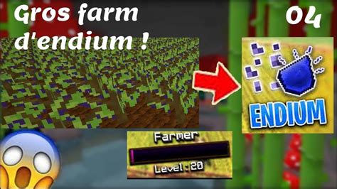 ÉNORME FARM D ENDIUM 500 graines lvl 20 farmer Episode 4 PvP