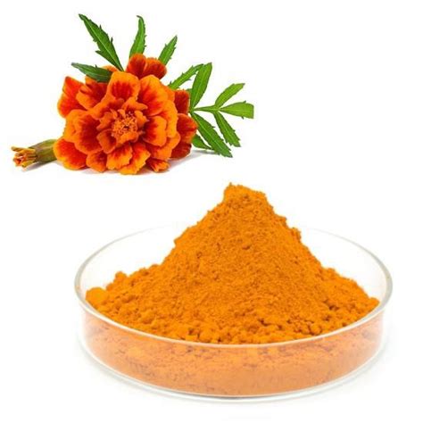 Low Price Marigold Flower Extract Lutein Manufacturers Suppliers Factory Direct Wholesale