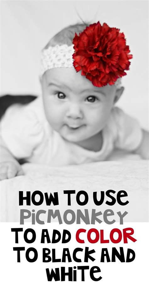 How To Add A Splash Of Color To Black And White Photos Using Picmonkey