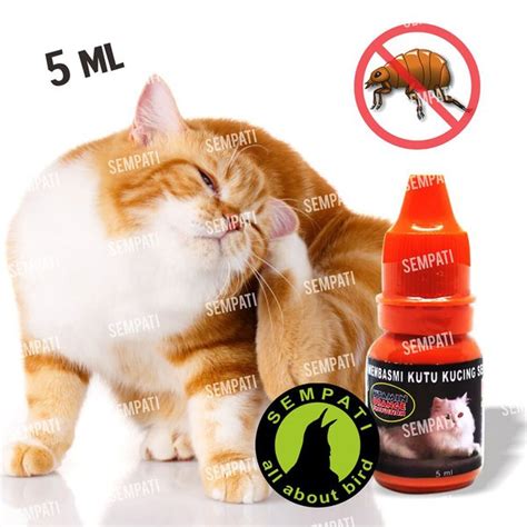 Jual Obat Kutu Kucing Anjing Magic Kutu 5 Ml Obat Kucing Tetes Basmi