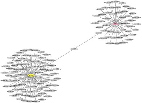 Evaluation Of The Potential Diagnostic Role Of The Lnc MIAT MiR 29a 3p