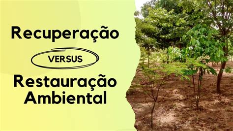 Qual A DiferenÇa Entre RecuperaÇÃo E RestauraÇÃo Ambiental Youtube