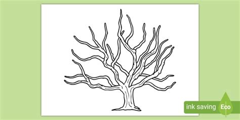 Easy Ghaf Tree Drawing For Kids And Now You Can Teach Your Children