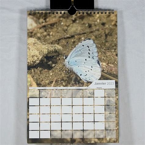 Butterflies Spiral Calendar 2023 13 Photos A4 Artistic Etsy