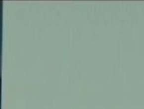 TERRI ABNEY Nude AZNude