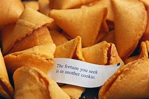 Fortune Cookie Funny Sayings At Alexander Weller Blog