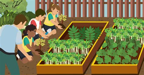 How To Start A School Garden