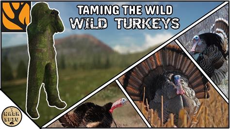 Realistic WILD TURKEY Hunting Taming The Wild Episode 1 YouTube