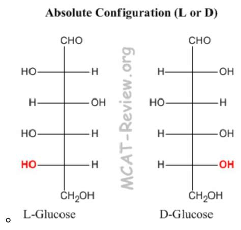 Carbohydrate Structure Flashcards Quizlet