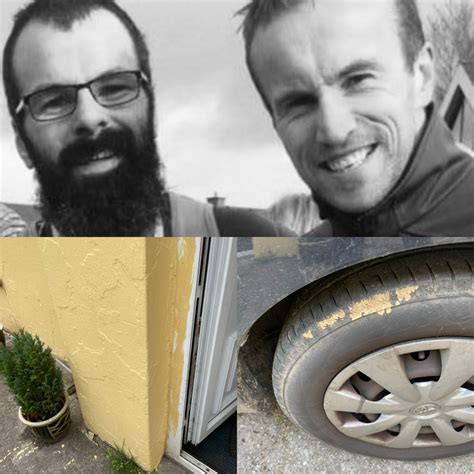 animal painting meme