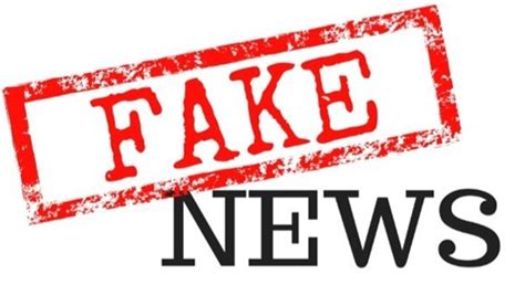 Organiza O Dos Estados Americanos Critica Difus O De Fake News No