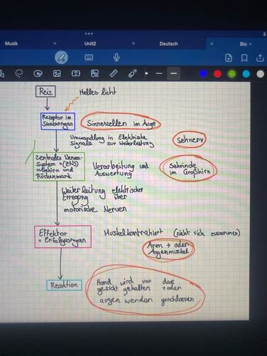 Bio Karteikarten Quizlet