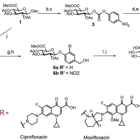 Schematic illustration of syntheses for glucuronide prodrugs used in ...