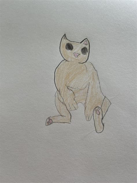 Bingus