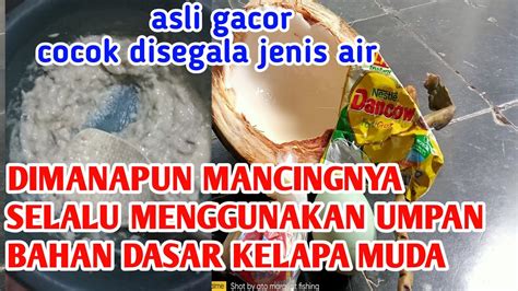 Dimanapun Mancingnya Selalu Pake Racikan Umpan Bahan Dasar Kelapa Muda