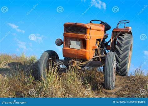 Orange Tractor Jcb Or Truck Loading Wood In The Forest Royalty Free