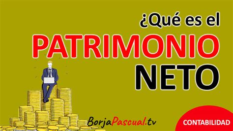 Qu Es El Patrimonio Neto Elementos Patrimoniales