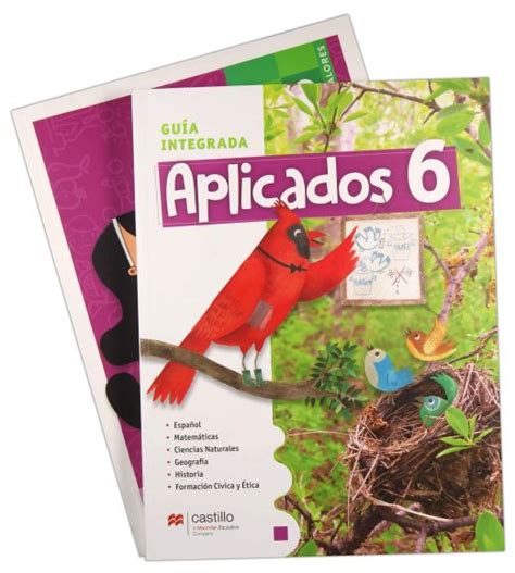 Libro Del Maestro Aplicados Bloque Guia Para El Maestro Educacion