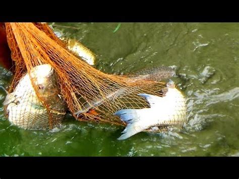 Top 3 Most Unbelievable Cast Net Fishing River Part 80 YouTube