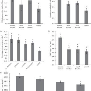 Effects Of Different Types Of Biochar Application And Inoculation By