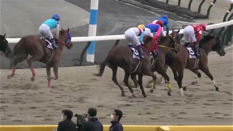 2023 02 19 東京競馬場第11レース 第40回フェブラリーステークス （福永祐一 国内g1最終騎乗）レモンポップ・ドライスタウト