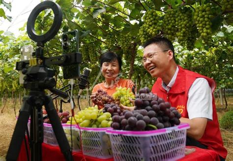 江西新余直播带货 助农增收 人民图片网