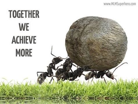 Together We Achieve More Quotes Quotesgram