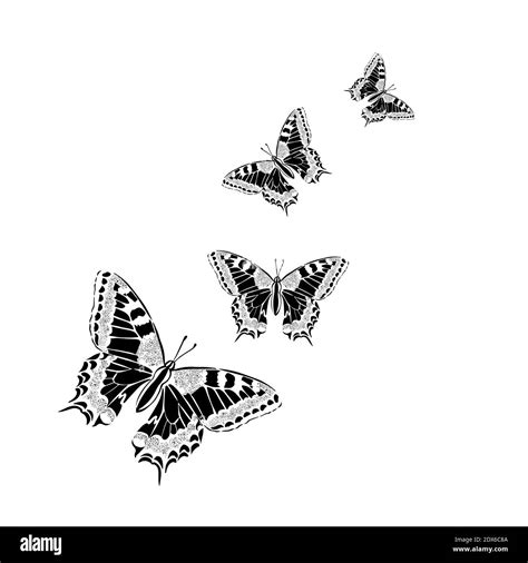 Butterfly Black And White Background