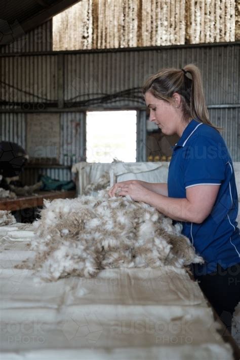 Wool Classer Sorting Shorn Wool In Shearing Shed Austockphoto