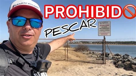 Pescamos En El Espigon De Huelva No Nos Esperabamos Este Pez Youtube