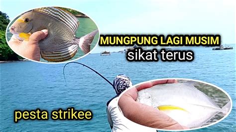 Mancing Pinggiran Wisata Pelabuhan Ratu Sukabumi Salt Water