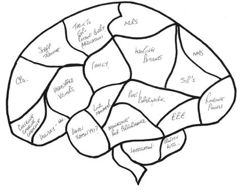 Blank Brain - ClipArt Best