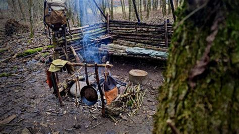 Berleben In Einem Deutschen Wald Ist Das M Glich