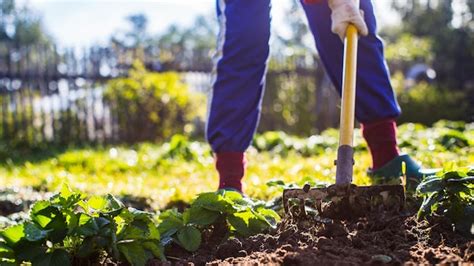 Agricultor Cultivando Terra No Jardim Ferramentas Manuais