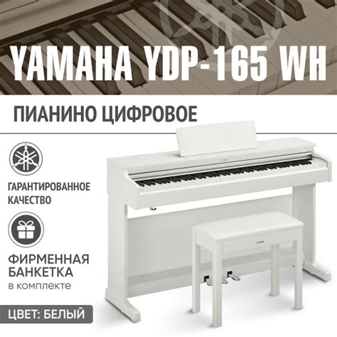 Цифровое пианино Yamaha Ydp 165 Wh белое Банкетка купить с