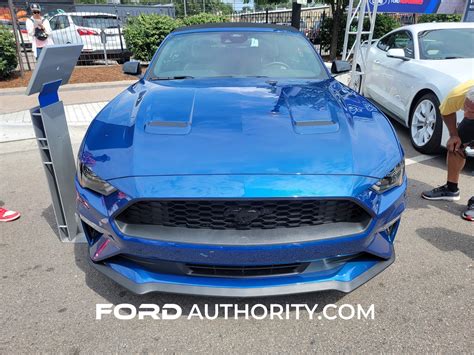 Mustang Blue And Black