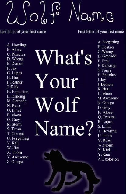 Pin by Mia Hernandez on wolves | Wolf name, Funny name generator, Funny ...