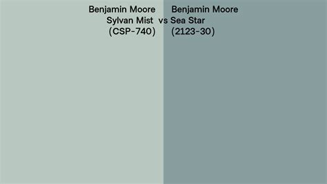 Benjamin Moore Sylvan Mist Vs Sea Star Side By Side Comparison