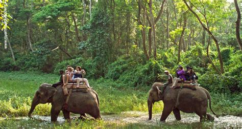 Myanmar Jungle Trekking 5 Days Myanmar Travel