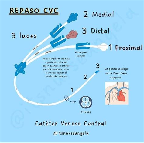 Pin de Jorge David Lara Báez en Medicina EKG Abreviaturas de