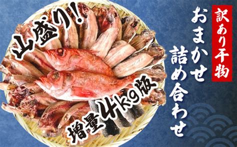 【期間限定】増量4㎏ 訳あり干物 山盛りおまかせ詰め合わせ 静岡県沼津市 ふるさと納税 ふるさとチョイス